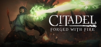 Citadel: Forged with Fire Box Art