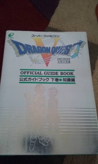 Dragon Quest V Official Guide Book- Second Volume Box Art