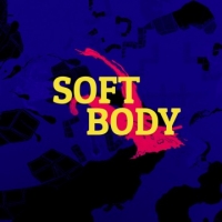 Soft Body Box Art