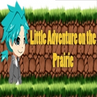 Little Adventure on the Prairie Box Art
