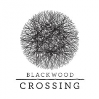Blackwood Crossing Box Art
