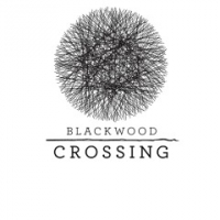 Blackwood Crossing Box Art