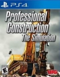 Professional Construction: The Simulation Box Art