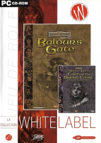 Forgotten Realms: Baldur's Gate & Baldur's Gate: Tales of the Sword Coast - White Label Box Art