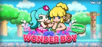 Wonder Boy Returns Box Art