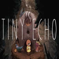 Tiny Echo Box Art