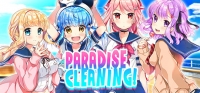 Paradise Cleaning! Box Art