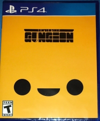 Enter the Gungeon (yellow cover) Box Art