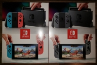 Nintendo Switch Double-Sided GameStop Promotional Display Box Box Art