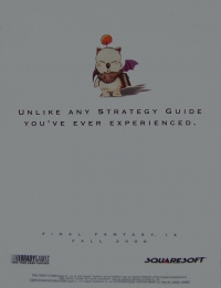 Final Fantasy IX BradyGames Strategy Guide Promotional Flyer Box Art
