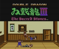 Double Dragon III: The Sacred Stones Box Art