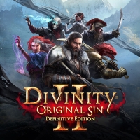 Divinity: Original Sin 2 - Definitive Edition Box Art