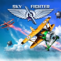 Sky Fighter Box Art