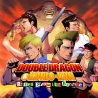 Double Dragon and Kunio-kun: Retro Brawler Bundle Box Art