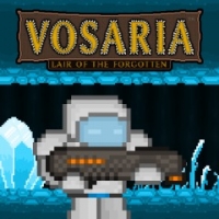 Vosaria: Lair of the Forgotten Box Art