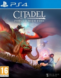 Citadel: Forged With Fire Box Art