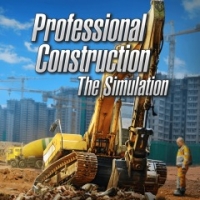 Professional Construction: The Simulation Box Art