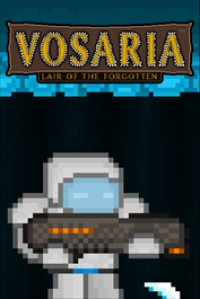 Vosaria: Lair of the Forgotten Box Art