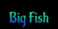 Big Fish Box Art
