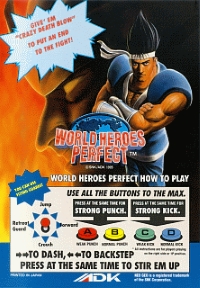 World Heroes Perfect Box Art