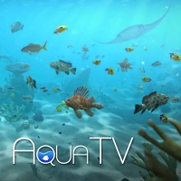 Aqua TV Box Art