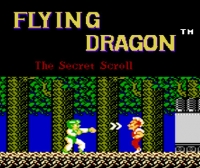 Flying Dragon: The Secret Scroll Box Art