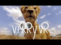 Virry Safari Box Art