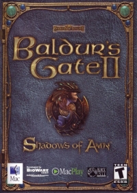 Baldur's Gate II: Shadows of Amn Box Art