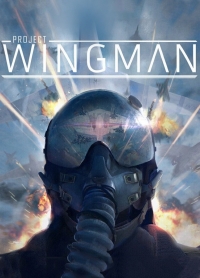 Project Wingman Box Art
