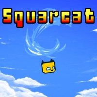 Squarcat Box Art