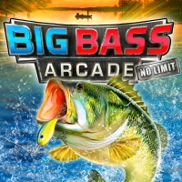 Big Bass Arcade: No Limit Box Art