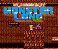 Wonder Boy in Monster Land (Arcade) Box Art