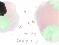 Guppy Box Art