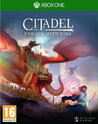 Citadel: Forged with Fire Box Art