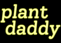 Plant Daddy Box Art