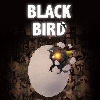 Black Bird Box Art