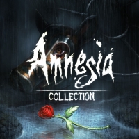 Amnesia Collection Box Art