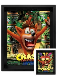 3D Pyramid: Crash Bandicoot 3D lenticular poster Box Art