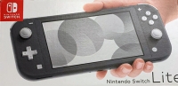 Nintendo Switch Lite (Grey) [JP] Box Art