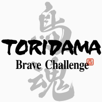 Toridama: Brave Challenge Box Art