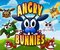 Angry Bunnies Box Art