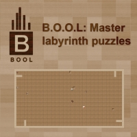 B.O.O.L: Master Labyrinth Puzzles Box Art
