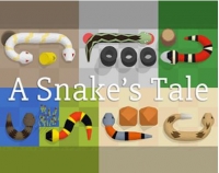 Snake's Tale, A Box Art