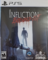 Infliction: Extended Cut Box Art