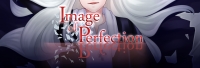 Image of Perfection Box Art