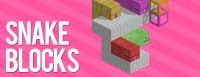 Snake Blocks Box Art