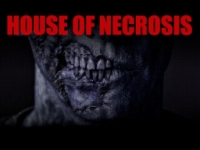 House of Necrosis Box Art