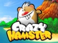 Crazy Hamster Box Art