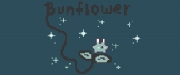 Bunflower Box Art