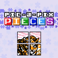 Pic-a-Pix Pieces Box Art